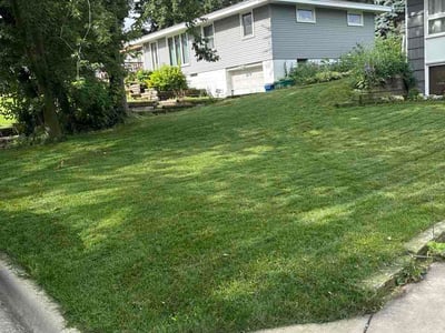 Lawn care service in Minneapolis, 55427
