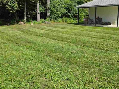 Lawn care service in Lake View, 14085