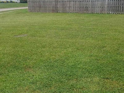 Lawn care service in Nashville, 37214