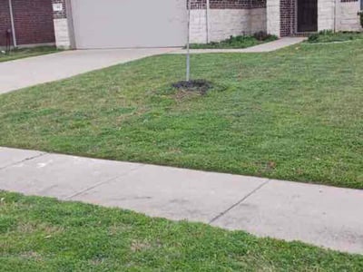 Lawn care service in Aubrey, 76227