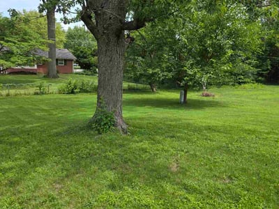 Lawn care service in Indianapolis, 46227