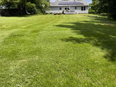 Lawn care service in Kingston, 12401