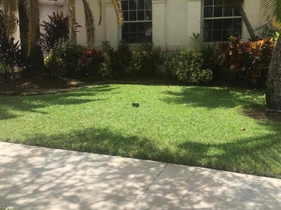 Lawn care service in Coral Springs, 33076