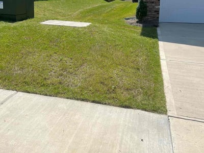 Lawn care service in Charlotte, 28208
