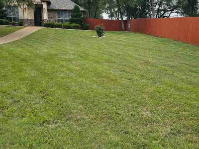 Lawn care service in Belton, 76513