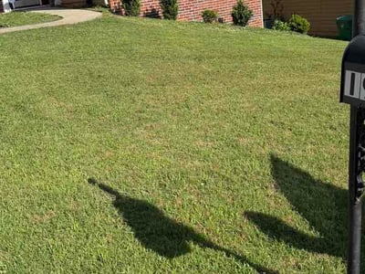 Lawn care service in Stone Mountain, 30088