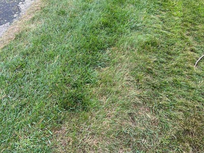 Lawn care service in Menomonee Falls, 53051
