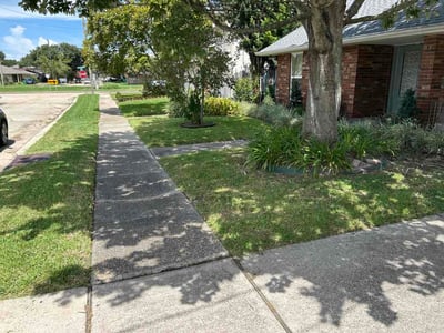 Lawn care service in Metairie, 70002