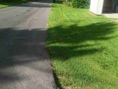 Lawn care service in Roanoke, 24012