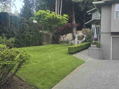 Lawn care service in Sammamish, 98074