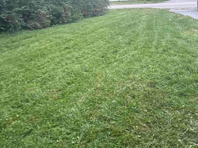Lawn care service in York, 17403