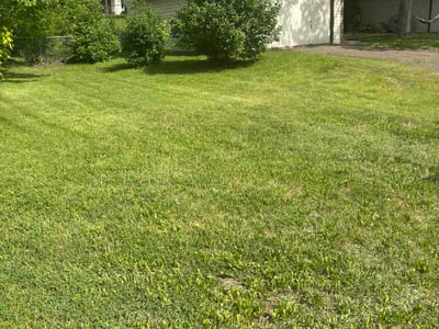 Lawn care service in Maplewood, 55119