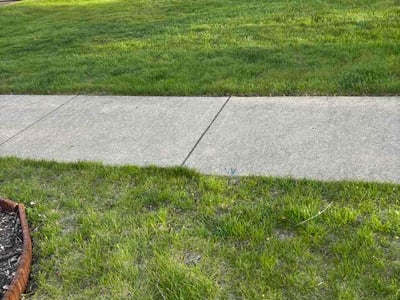 Lawn care service in Huntley, 60142