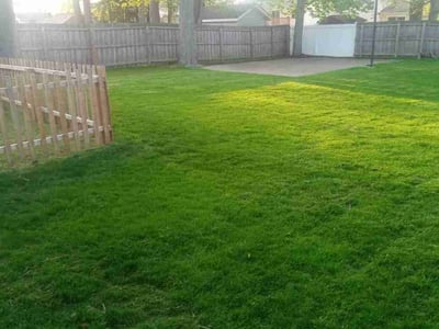 Lawn care service in Eastlake, 44095