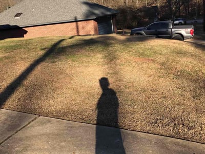 Lawn care service in Kilgore, 75662