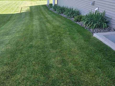 Lawn care service in Hudson, 54016
