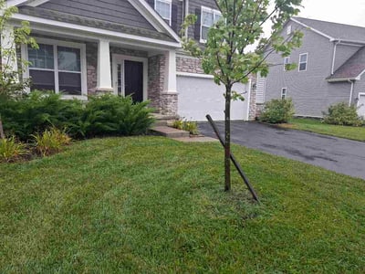 Lawn care service in Grove City, 43123