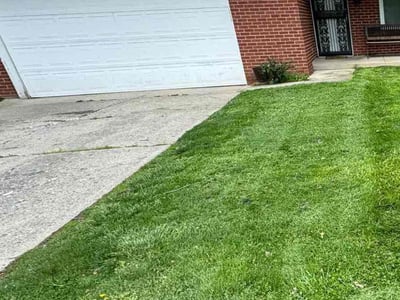 Lawn care service in Indianapolis, 46205