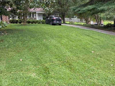 Lawn care service in Mount Airy, 27030