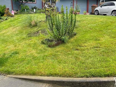 Lawn care service in Tacoma, 98422