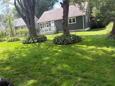 Lawn care service in Gary, 46406