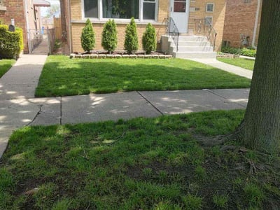 Lawn care service in Chicago, 60630