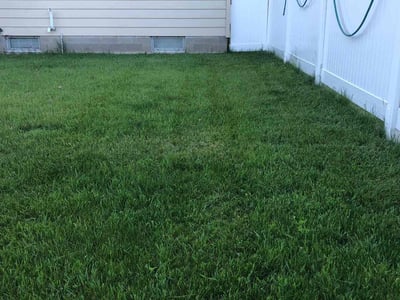 Lawn care service in Milwaukee, 53218