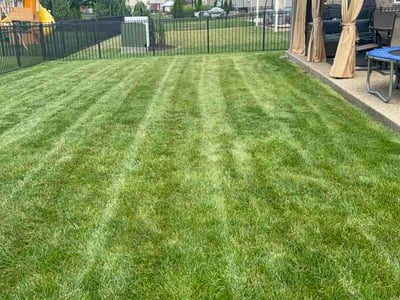 Lawn care service in Clinton Township, 48038