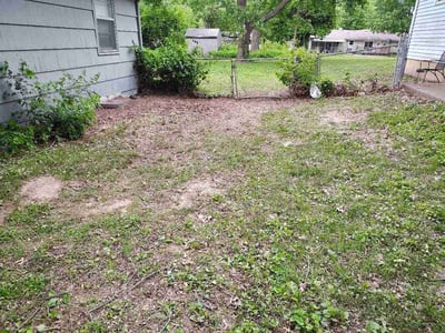 Lawn care service in Raytown, 64138