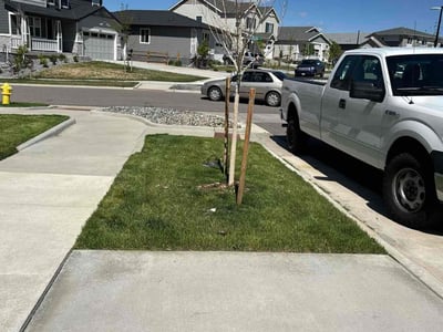 Lawn care service in Aurora, 80019