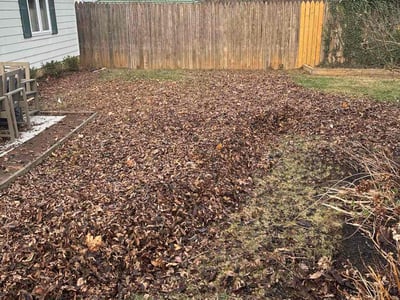 Lawn care service in Roanoke, 24015