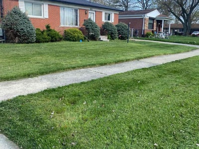 Lawn care service in Inkster, 48141