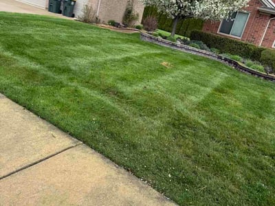 Lawn care service in New Baltimore, 48047