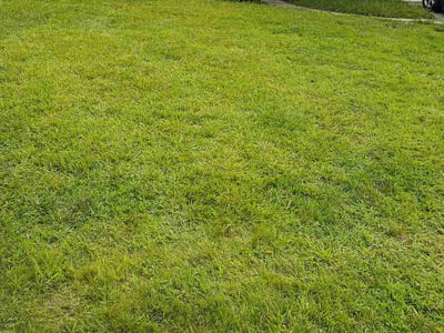 Lawn care service in Concord, 28027