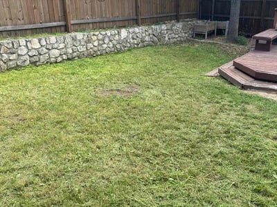 Lawn care service in Boerne, 78015