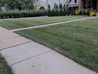 Lawn care service in Rochester, 55902