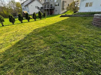 Lawn care service in Savage, 55378