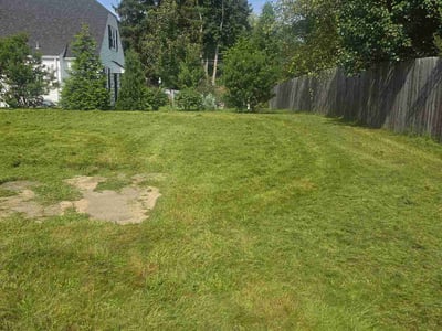 Lawn care service in Union Pier, 49129