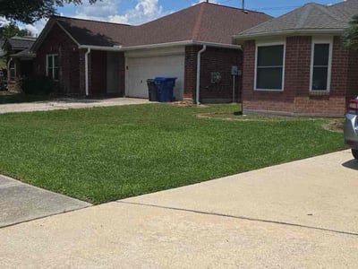 Lawn care service in Spring, 77386