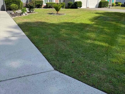 Lawn care service in Myrtle Beach, 29579