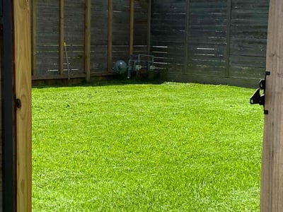 Lawn care service in Houston, 77043