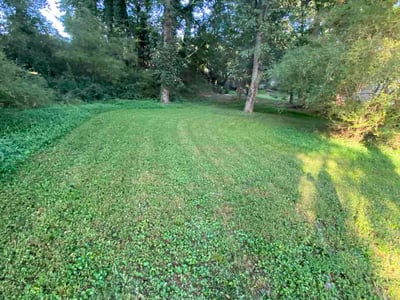 Lawn care service in Lithonia, 30058