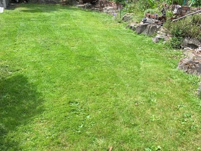 Lawn care service in Lake Forest Park, 98155