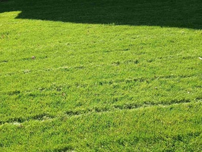 Lawn care service in Naperville, 60563