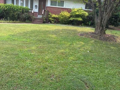 Lawn care service in Norfolk, 23502