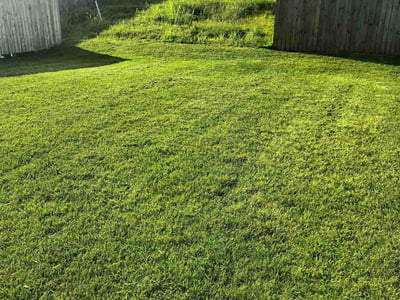 Lawn care service in Lexington, 40511