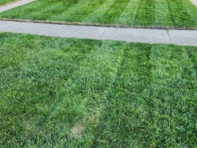 Lawn care service in Moorhead, 56560