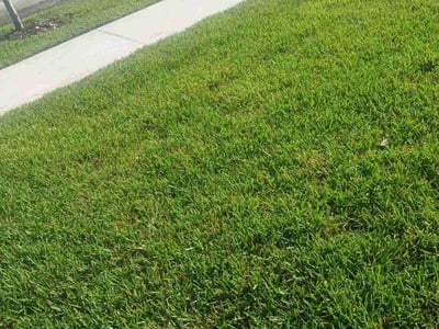 Lawn care service in Green Cove Springs, 32043