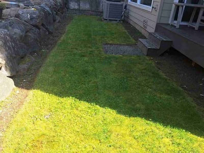 Lawn care service in Bothell, 98012