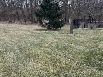 Lawn care service in Indianapolis, 46234